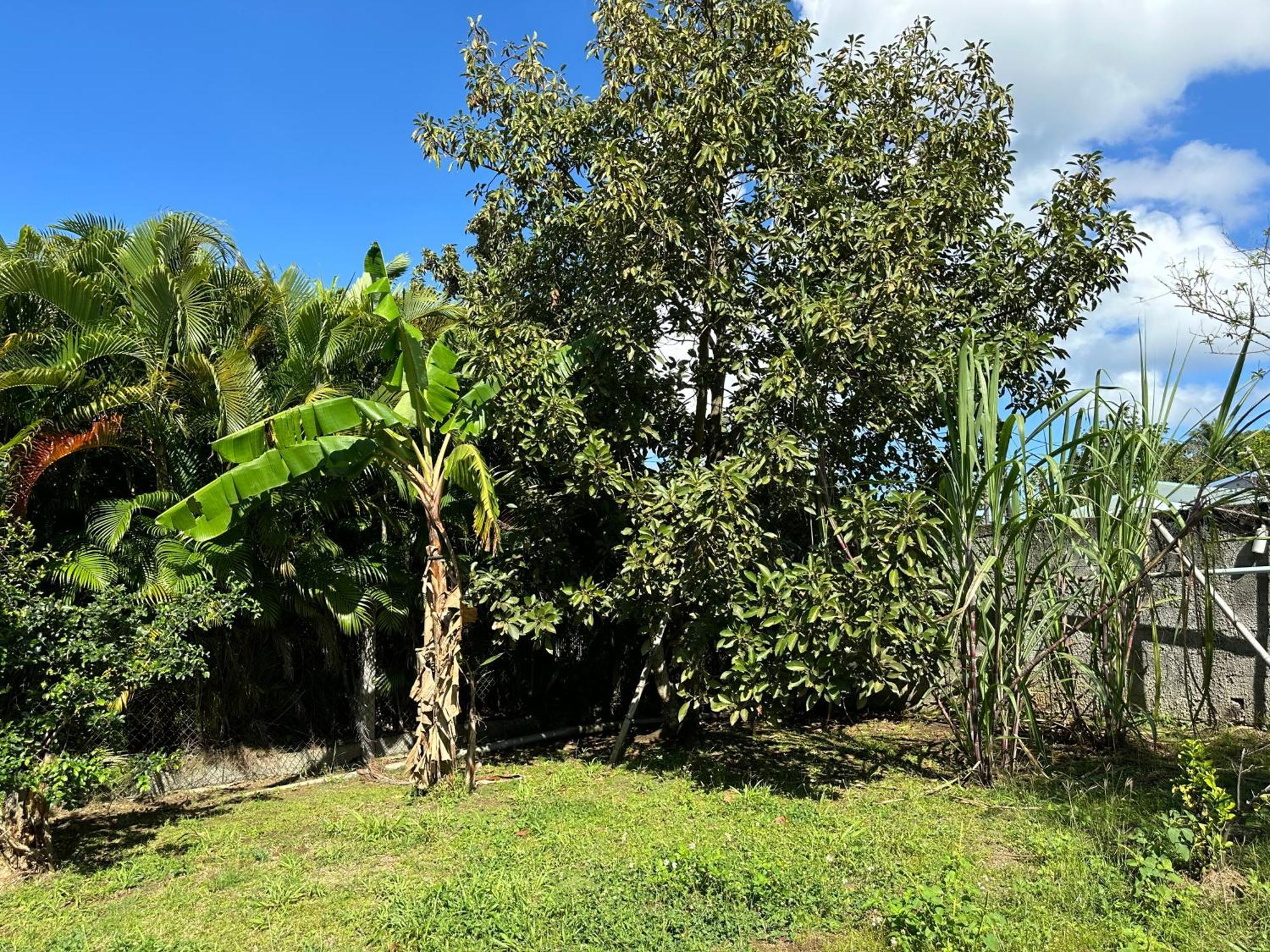 Appartamento Appt F2 Bellissima Baie-Mahault Esterno foto